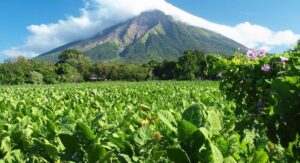 Pourquoi choisir le Nicaragua comme destination voyage ?